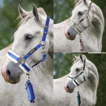 Cavezza e Longhina Horses Magghi