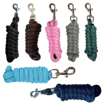 Horses Longierstrick Dream