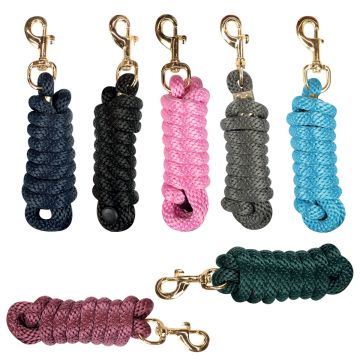 Horses Führstrick Dream Gold