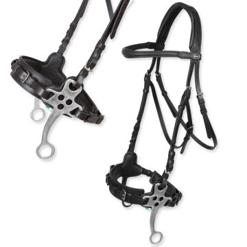 Horses Hawke Bridle with Hackamore 