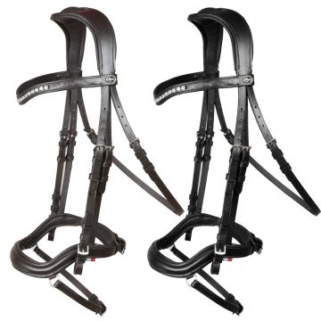 Briglia Anatomica Horses Tasting Crystal