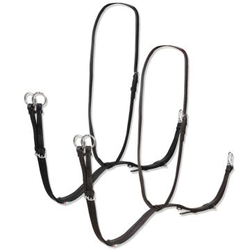 Horses Martingal Halsriemen Profiliert Iseo