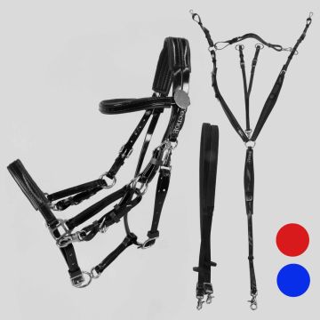 Brida Riendas Pechopertal de Raid Biothane TecnoE