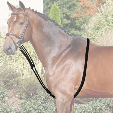 Sistema de Entrenamiento para Dar Cuerda Horses