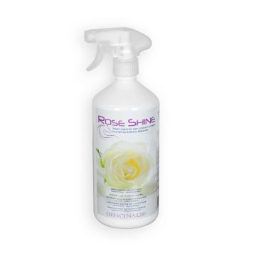Entwirrer Rose Shine Officinalis
