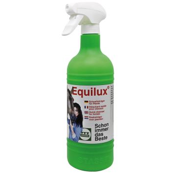 Equilux Trockenes Shampoo 