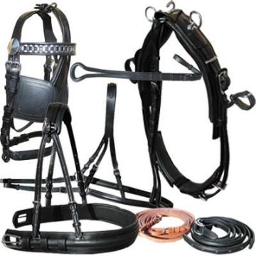 Guarnición Limonera Diplomat SS