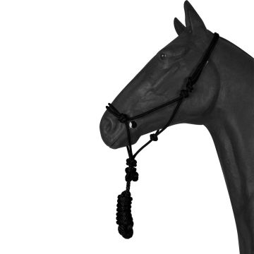 Halfter Knoten Führstrick