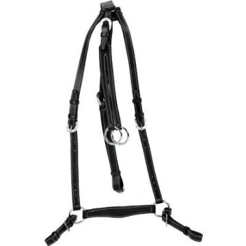 Martingala Australiana