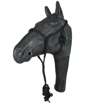 Halfter + Führstrick