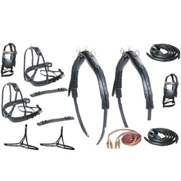 Guarnición Tronco Diplomat SS