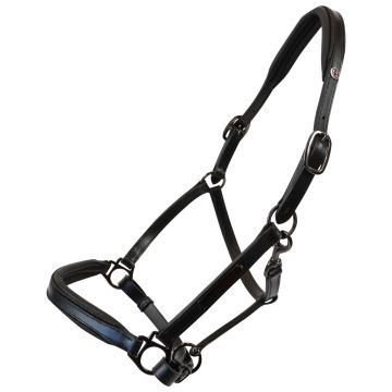 Equityum Leder Halfter SuperSoft Glitter