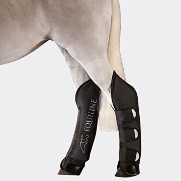 Paracolpi Da Trasporto Equiline Rex