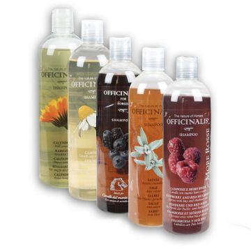 Officinalis Shampoo 500ml