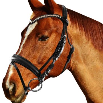 Equityum SuperSoft Sheffield Bridle