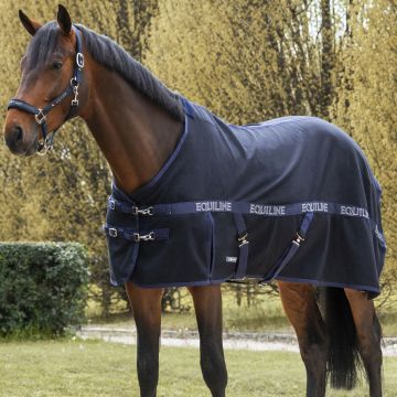 Manta Equiline Reynosa