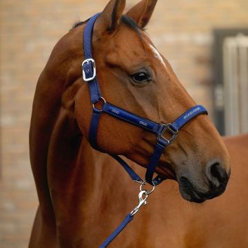 Equiline Set Halfter + Longierstrick Esdino