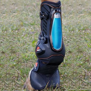 Paratendini eQuick eShock Overreach