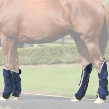 Paracolpi Trasporto Equityum Talia