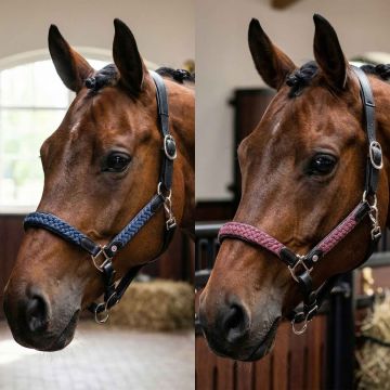 Equityum Halfter Leder und geflochtenen Giver