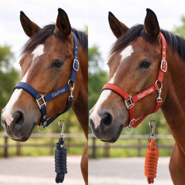 Cavezza e Longhina Equityum Beryl Light