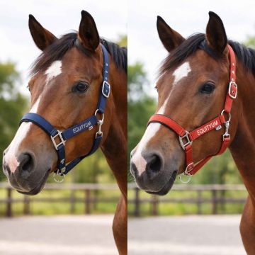 Equityum Halfter Yvonne Light