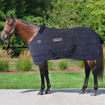 Equityum Abschwitzdecke Force 250 gr.