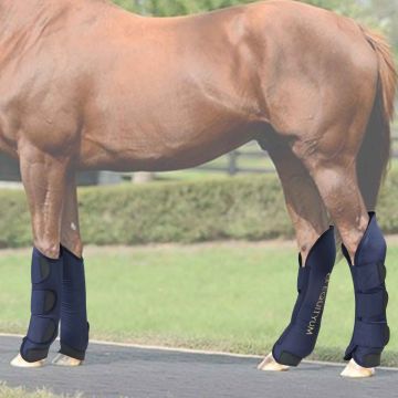 Paracolpi Trasporto Equityum Petunia