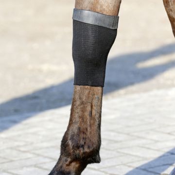 Kentucky Gel Socke Tendon Grip 
