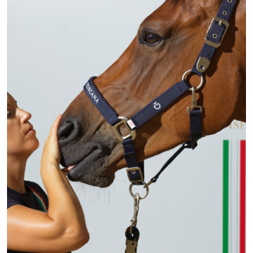 Cavalleria Toscana X Fise Halfter mit Longierstrick In Nylon 