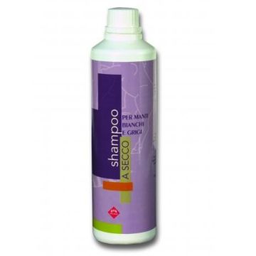 Shampoing Sec FM Italia