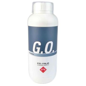 G.O. Fm Italia 