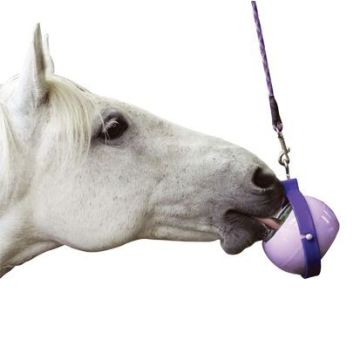 Pelota Likit Boredom Buster 