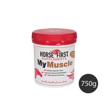 Horse First MY MUSCLE