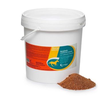 Nuovo Complesso Puledri Candioli