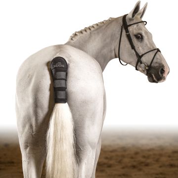 Paracoda In Neoprene Equiline Noll