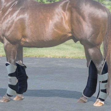 Paracolpi Trasporto Tecno Warm