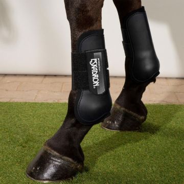 Eskadron Sehnenschutz