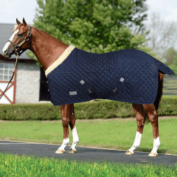 Coperta Box Horses Quazar 160gr