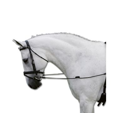 Riendas Fijas Elásticas