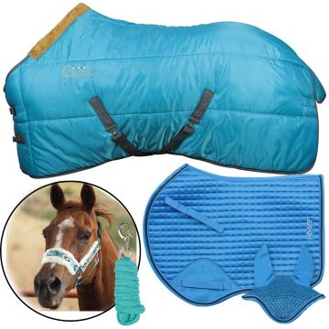 Horses Aztec Set Coloured