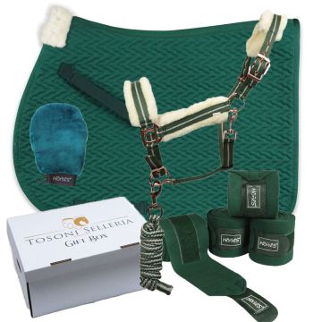Horses Geschenk Set Devon Grün