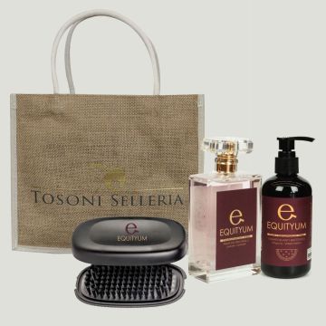 Equityum Set Luminous