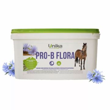 Pro-B Flor San Unika
