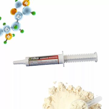 Seringue Adénosine Pasta 5AMP Unika