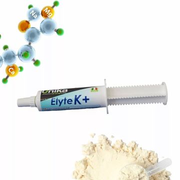 Seringue Elyte K+ Unika