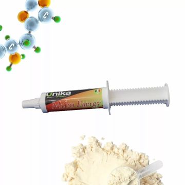 Seringue Malt Energy Unika