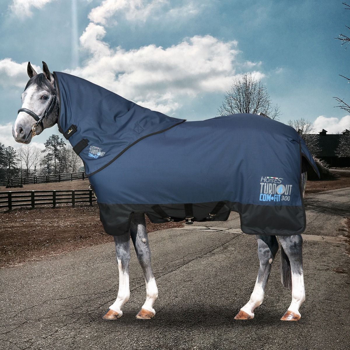 Cwell Equine Tappeto Da Viaggio In Pile Con Collo - Coperta Termica Borgogna Per Cavallo, Morbida E Calda, Taglie Disponibili - 5