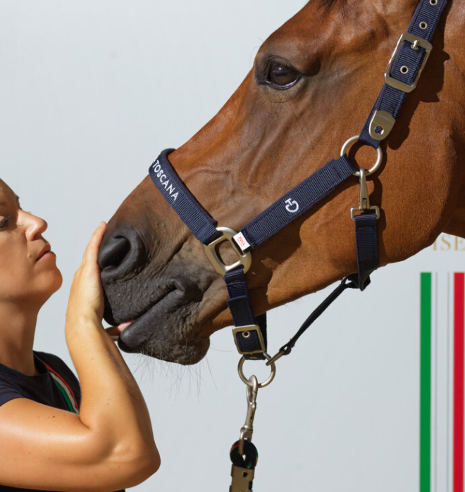 Equitazione Capezza Con Lunghina