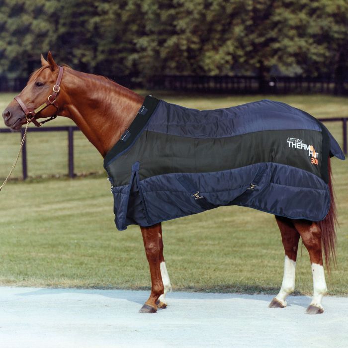 Couverture De Transpiration Horse Guard – Navy, 155 Cm, Neuve